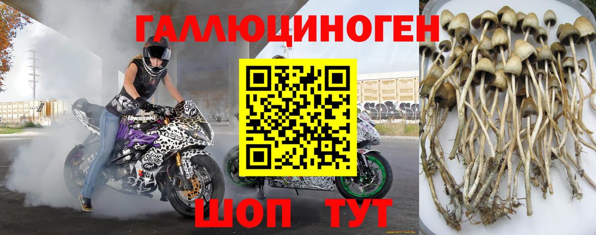 Псилоцибиновые грибы прущие грибы Малоярославец