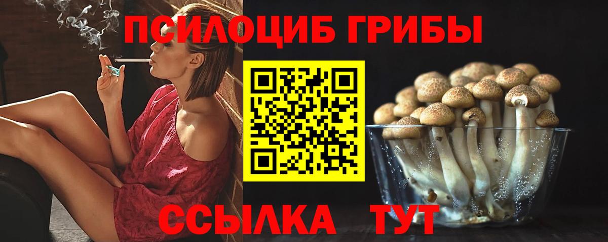 Малоярославец  Галлюциногенные грибы MAGIC MUSHROOMS  где продают наркотики  Галлюциногенные грибы прущие грибы  Вход с VPN 